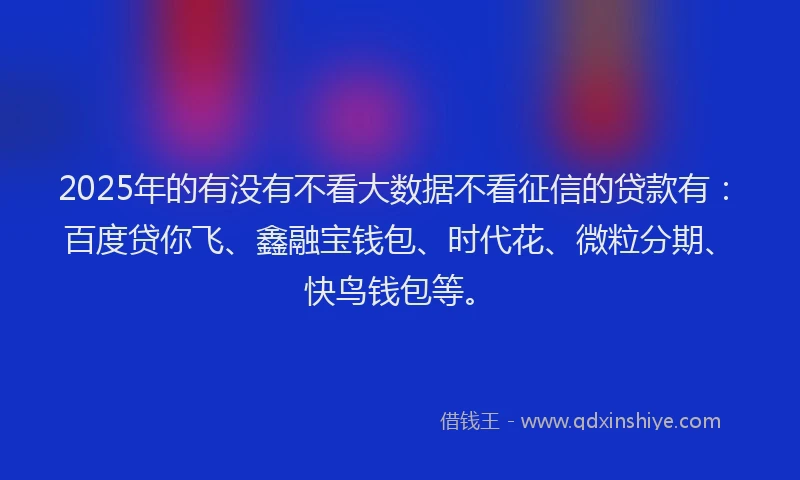 2025年的有没有不看大数据不看征信的贷款有：百度贷你飞、鑫融宝钱包、时代花、微粒分期、快鸟钱包等。