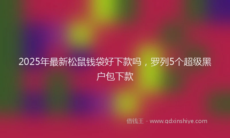 2025年最新松鼠钱袋好下款吗，罗列5个超级黑户包下款