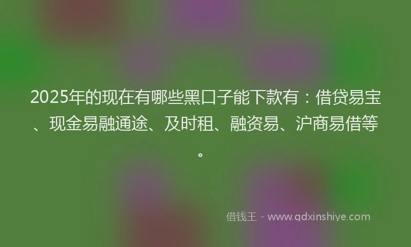 2025年的现在有哪些黑口子能下款有：借贷易宝、现金易融通途、及时租、融资易、沪商易借等。