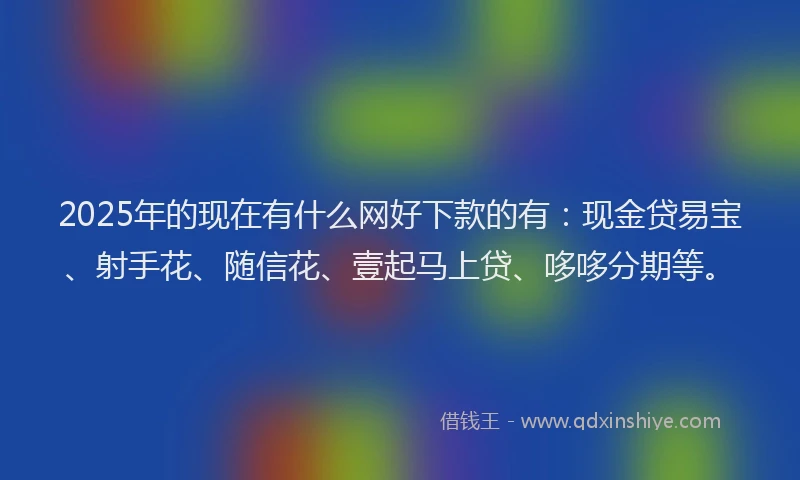 2025年的现在有什么网好下款的有：现金贷易宝、射手花、随信花、壹起马上贷、哆哆分期等。