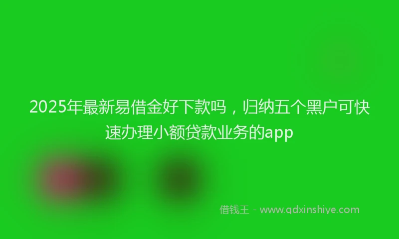 2025年最新易借金好下款吗，归纳五个黑户可快速办理小额贷款业务的app