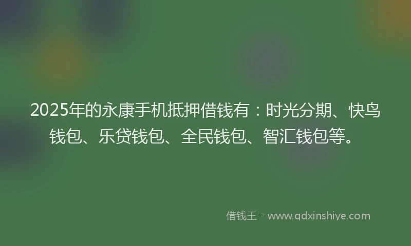 2025年的永康手机抵押借钱有：时光分期、快鸟钱包、乐贷钱包、全民钱包、智汇钱包等。
