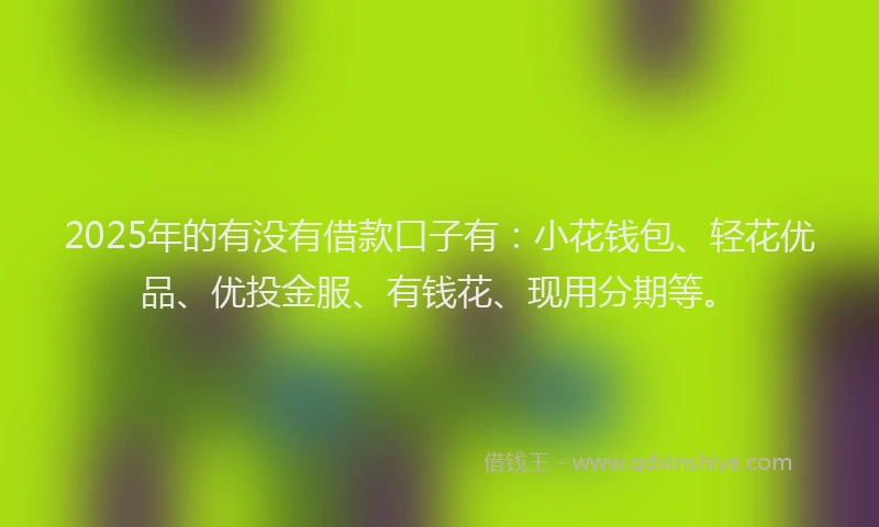 2025年的有没有借款口子有：小花钱包、轻花优品、优投金服、有钱花、现用分期等。