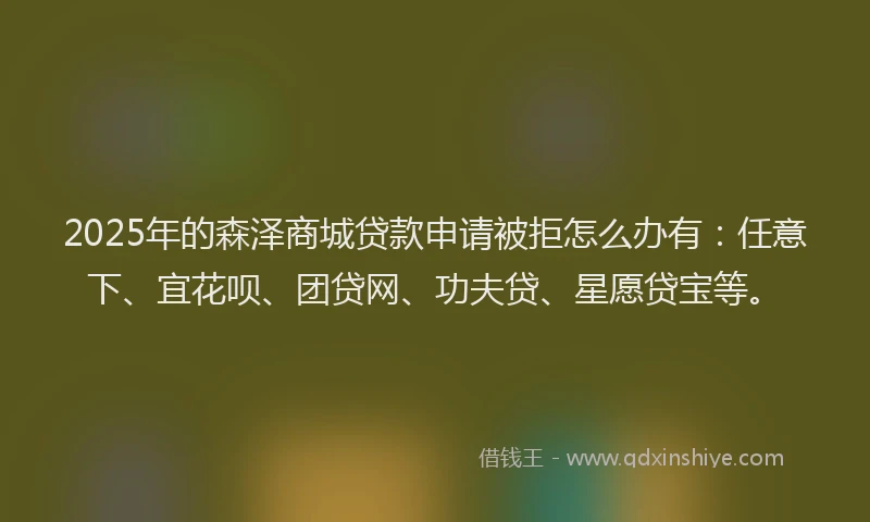 2025年的森泽商城贷款申请被拒怎么办有：任意下、宜花呗、团贷网、功夫贷、星愿贷宝等。