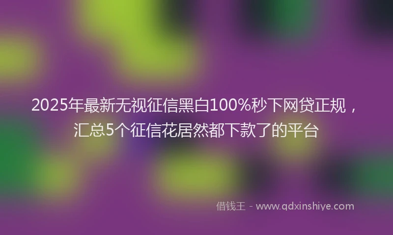 2025年最新无视征信黑白100%秒下网贷正规，汇总5个征信花居然都下款了的平台