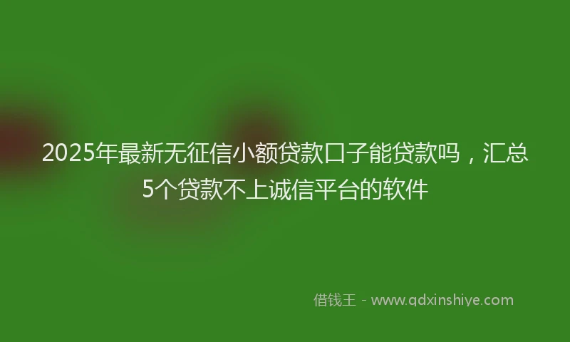 2025年最新无征信小额贷款口子能贷款吗，汇总5个贷款不上诚信平台的软件