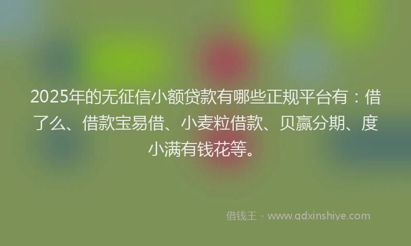 2025年的无征信小额贷款有哪些正规平台有：借了么、借款宝易借、小麦粒借款、贝赢分期、度小满有钱花等。