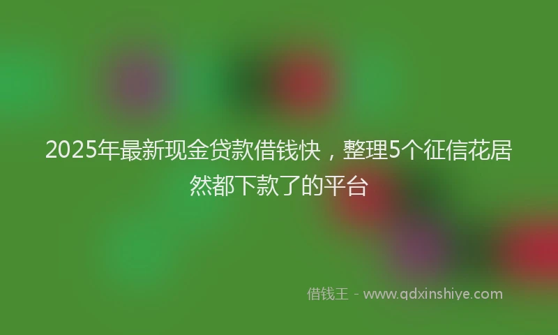 2025年最新现金贷款借钱快，整理5个征信花居然都下款了的平台