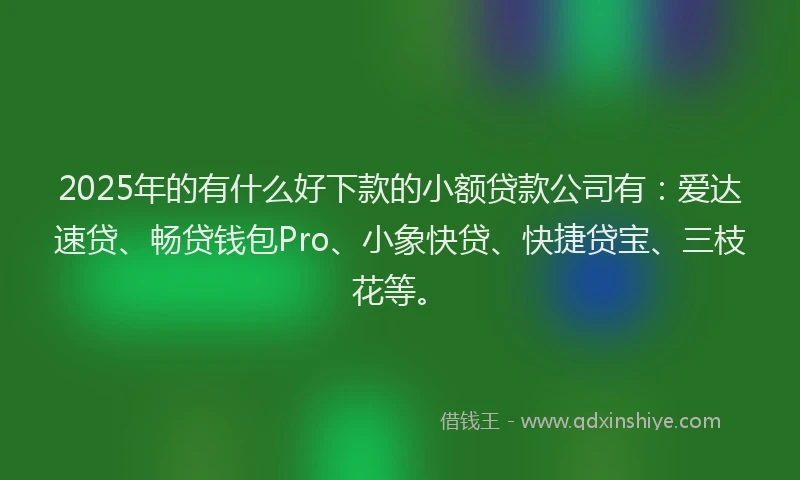 2025年的有什么好下款的小额贷款公司有：爱达速贷、畅贷钱包Pro、小象快贷、快捷贷宝、三枝花等。