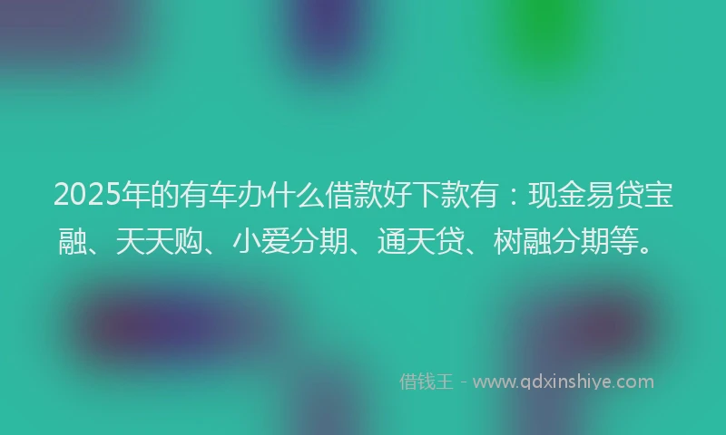 2025年的有车办什么借款好下款有：现金易贷宝融、天天购、小爱分期、通天贷、树融分期等。
