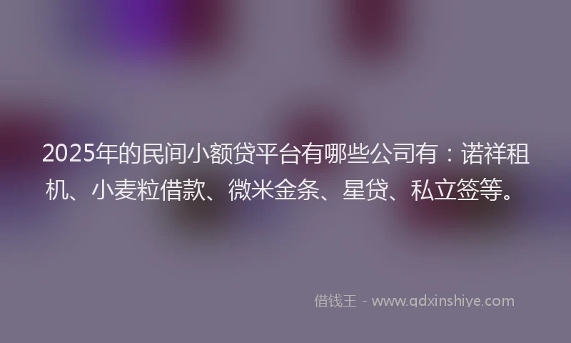 2025年的民间小额贷平台有哪些公司有：诺祥租机、小麦粒借款、微米金条、星贷、私立签等。