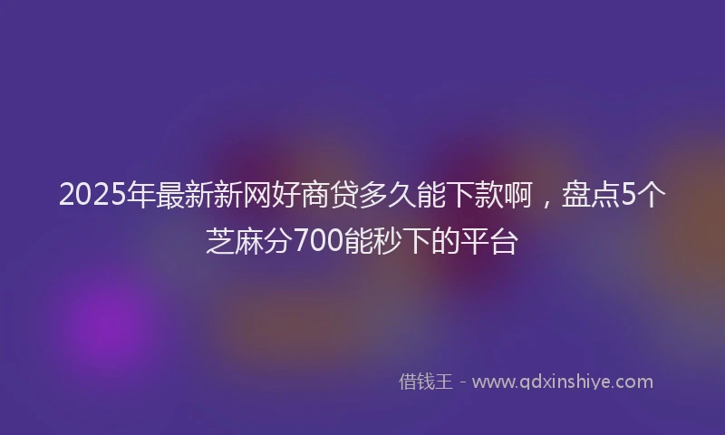 2025年最新新网好商贷多久能下款啊，盘点5个芝麻分700能秒下的平台