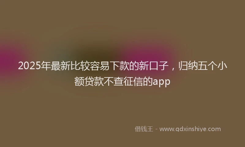 2025年最新比较容易下款的新口子，归纳五个小额贷款不查征信的app