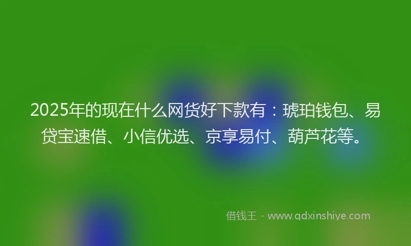 2025年的现在什么网货好下款有：琥珀钱包、易贷宝速借、小信优选、京享易付、葫芦花等。