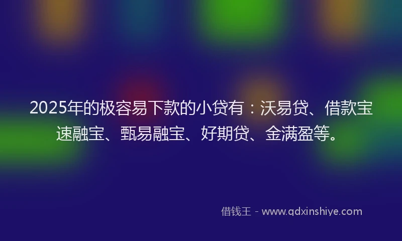 2025年的极容易下款的小贷有：沃易贷、借款宝速融宝、甄易融宝、好期贷、金满盈等。