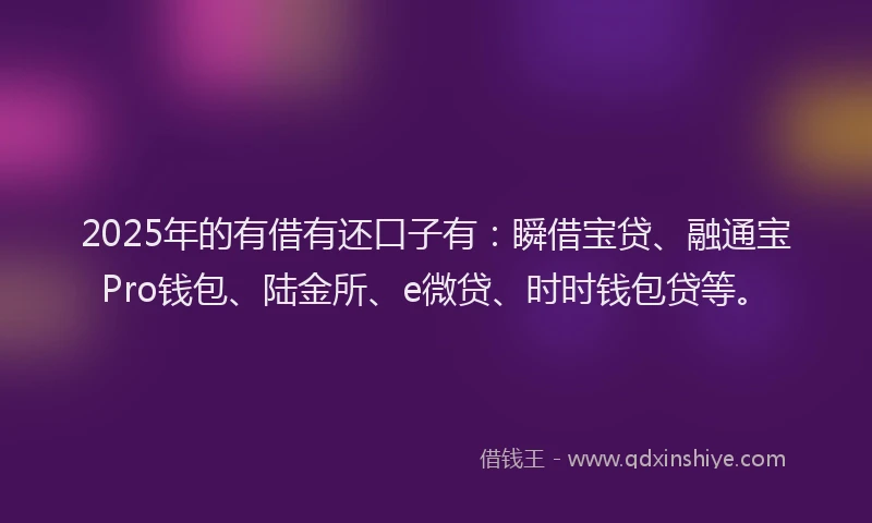 2025年的有借有还口子有：瞬借宝贷、融通宝Pro钱包、陆金所、e微贷、时时钱包贷等。