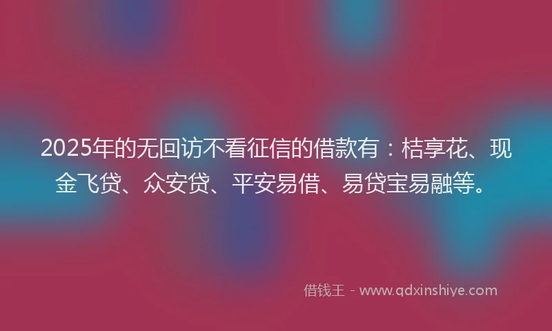 2025年的无回访不看征信的借款有：桔享花、现金飞贷、众安贷、平安易借、易贷宝易融等。
