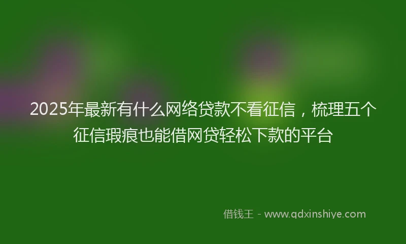 2025年最新有什么网络贷款不看征信，梳理五个征信瑕疵也能借网贷轻松下款的平台
