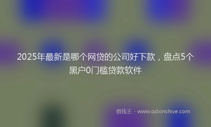 2025年最新是哪个网贷的公司好下款，盘点5个黑户0门槛贷款软件