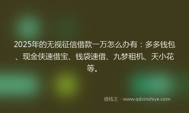 2025年的无视征信借款一万怎么办有：多多钱包、现金侠速借宝、钱袋速借、九梦租机、天小花等。
