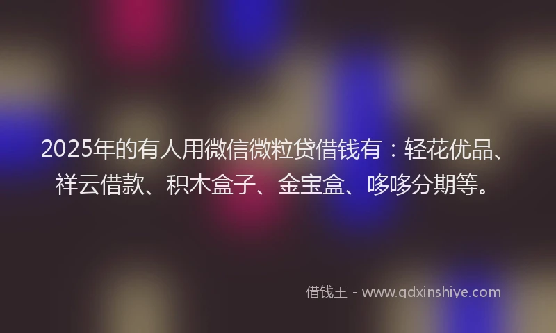 2025年的有人用微信微粒贷借钱有：轻花优品、祥云借款、积木盒子、金宝盒、哆哆分期等。
