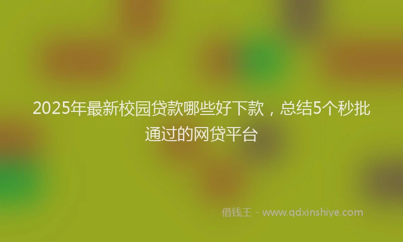 2025年最新校园贷款哪些好下款，总结5个秒批通过的网贷平台
