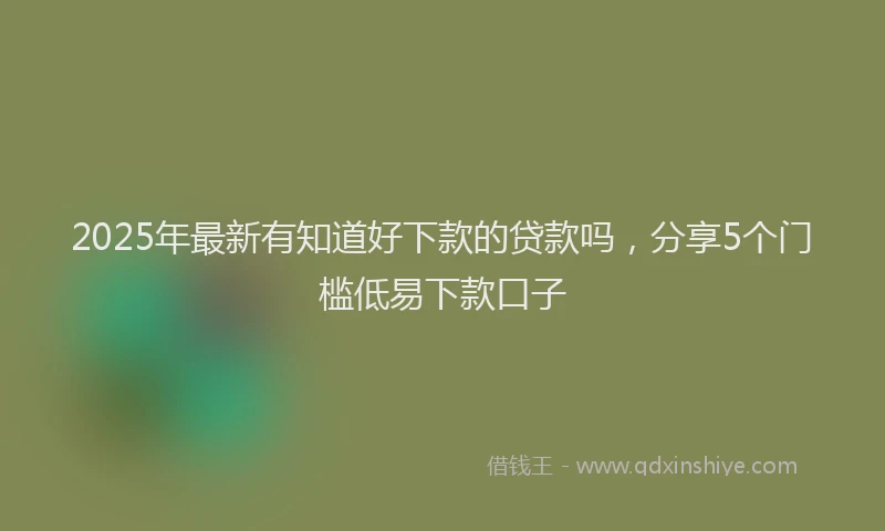 2025年最新有知道好下款的贷款吗，分享5个门槛低易下款口子