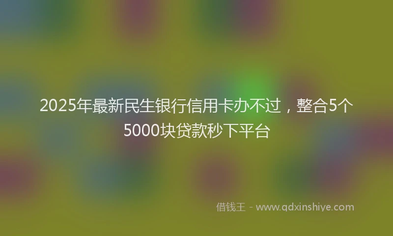 2025年最新民生银行信用卡办不过，整合5个5000块贷款秒下平台