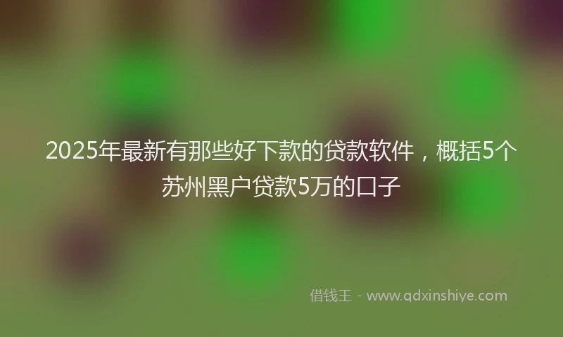 2025年最新有那些好下款的贷款软件，概括5个苏州黑户贷款5万的口子