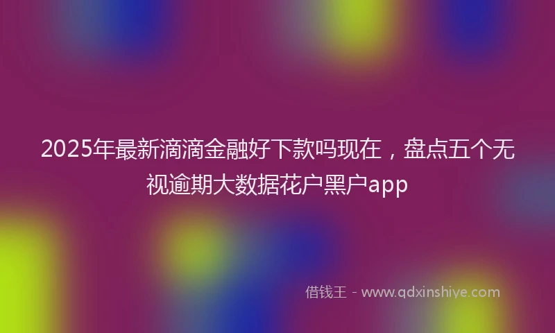 2025年最新滴滴金融好下款吗现在，盘点五个无视逾期大数据花户黑户app