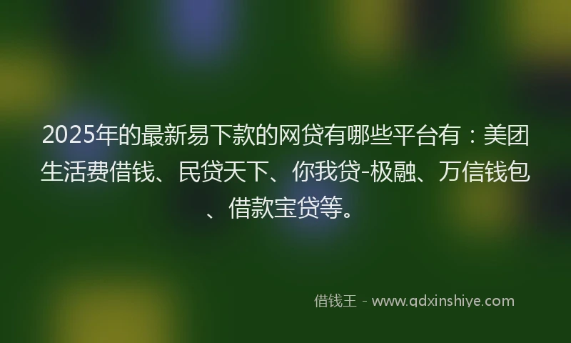 2025年的最新易下款的网贷有哪些平台有：美团生活费借钱、民贷天下、你我贷-极融、万信钱包、借款宝贷等。