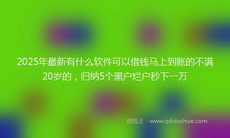 2025年最新有什么软件可以借钱马上到账的不满20岁的，归纳5个黑户烂户秒下一万