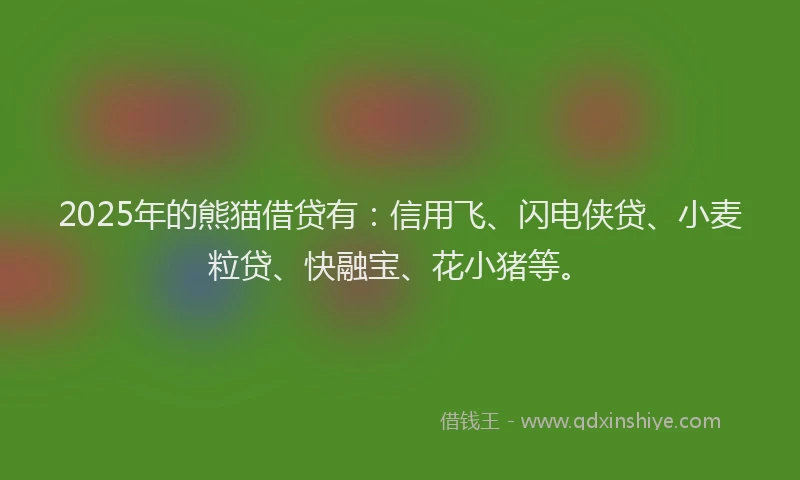 2025年的熊猫借贷有：信用飞、闪电侠贷、小麦粒贷、快融宝、花小猪等。