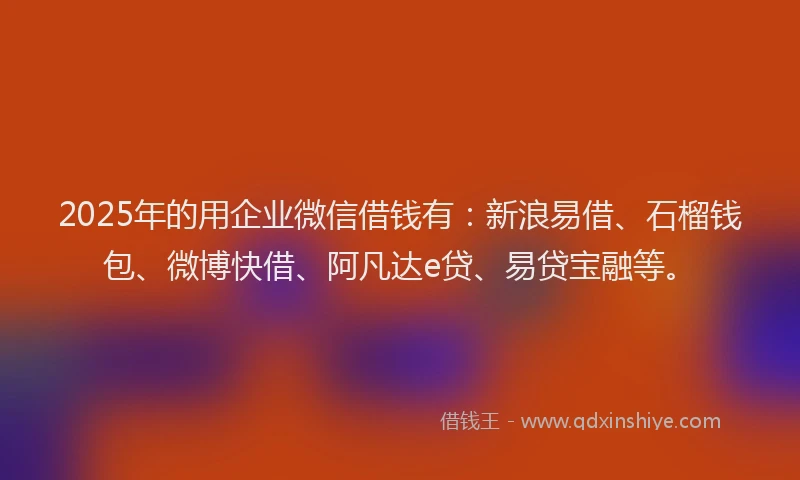 2025年的用企业微信借钱有：新浪易借、石榴钱包、微博快借、阿凡达e贷、易贷宝融等。