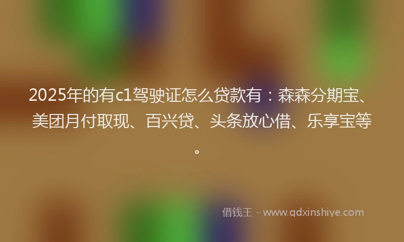 2025年的有c1驾驶证怎么贷款有：森森分期宝、美团月付取现、百兴贷、头条放心借、乐享宝等。