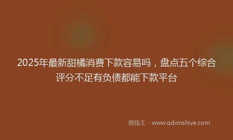 2025年最新甜橘消费下款容易吗，盘点五个综合评分不足有负债都能下款平台