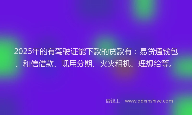 2025年的有驾驶证能下款的贷款有：易贷通钱包、和信借款、现用分期、火火租机、理想给等。