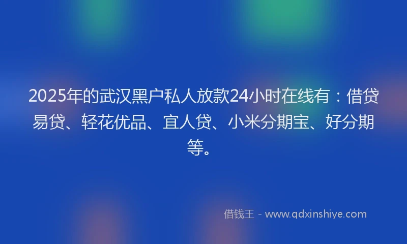 2025年的武汉黑户私人放款24小时在线有：借贷易贷、轻花优品、宜人贷、小米分期宝、好分期等。