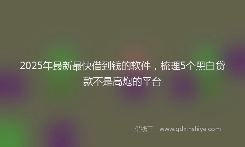 2025年最新最快借到钱的软件，梳理5个黑白贷款不是高炮的平台