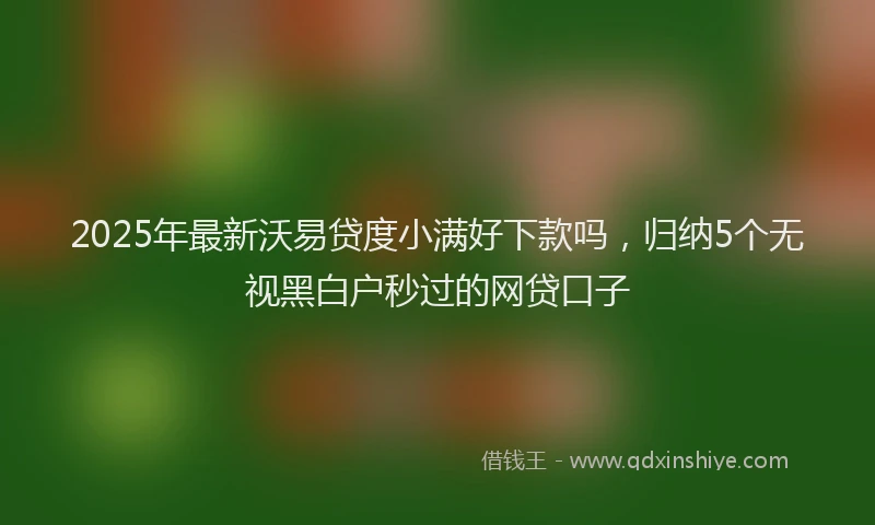 2025年最新沃易贷度小满好下款吗，归纳5个无视黑白户秒过的网贷口子