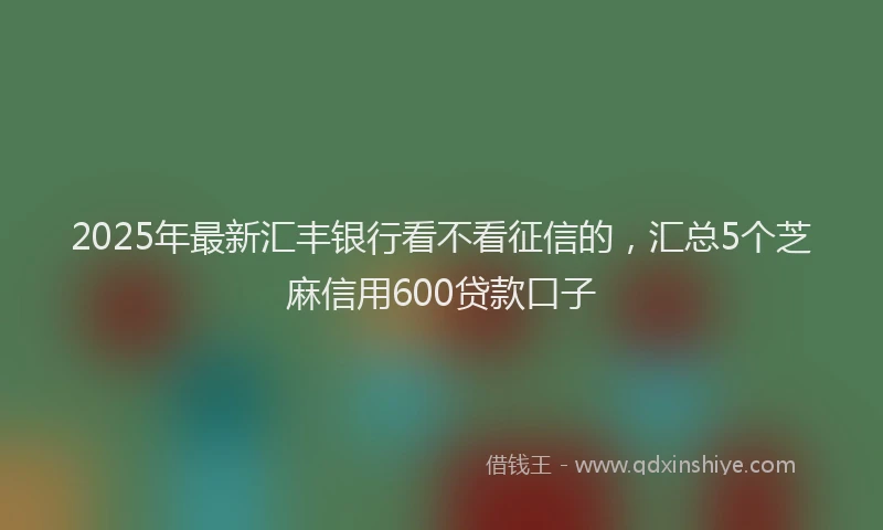 2025年最新汇丰银行看不看征信的，汇总5个芝麻信用600贷款口子