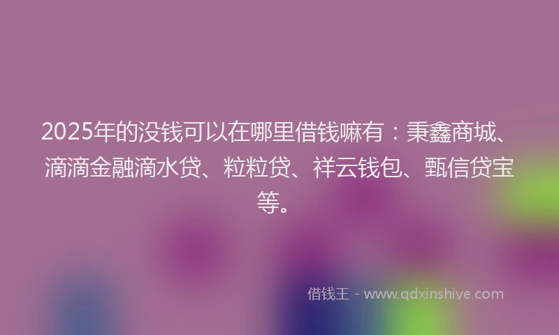 2025年的没钱可以在哪里借钱嘛有：秉鑫商城、滴滴金融滴水贷、粒粒贷、祥云钱包、甄信贷宝等。
