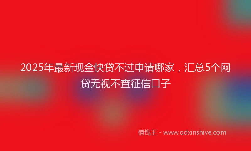 2025年最新现金快贷不过申请哪家，汇总5个网贷无视不查征信口子