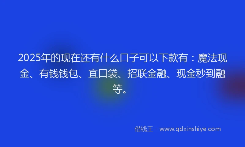 2025年的现在还有什么口子可以下款有：魔法现金、有钱钱包、宜口袋、招联金融、现金秒到融等。