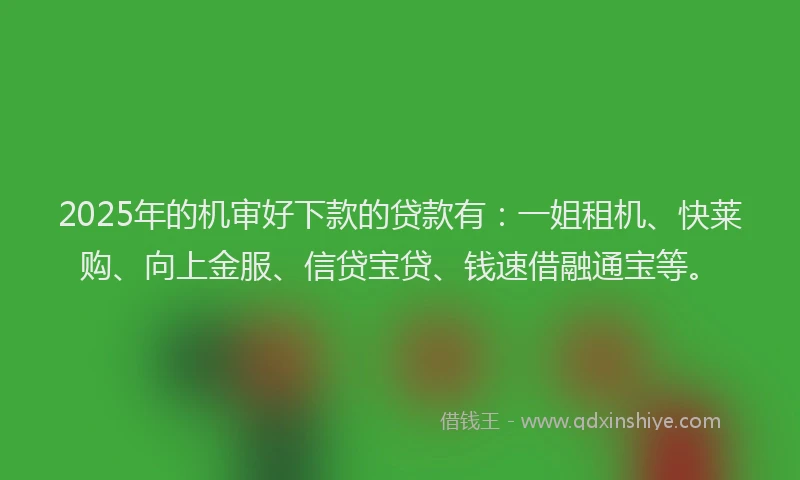 2025年的机审好下款的贷款有：一姐租机、快莱购、向上金服、信贷宝贷、钱速借融通宝等。