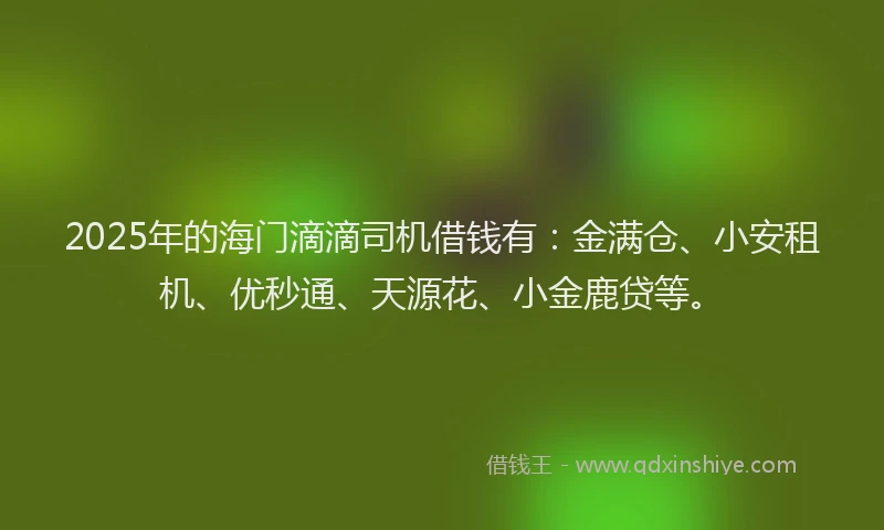 2025年的海门滴滴司机借钱有：金满仓、小安租机、优秒通、天源花、小金鹿贷等。