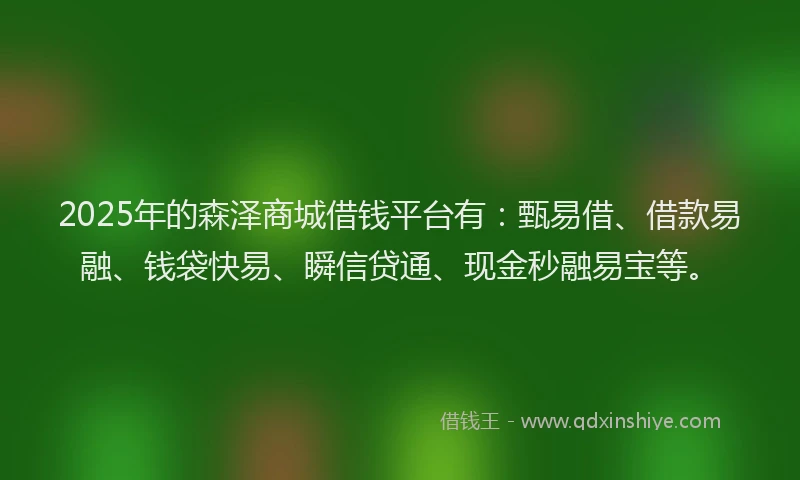 2025年的森泽商城借钱平台有：甄易借、借款易融、钱袋快易、瞬信贷通、现金秒融易宝等。