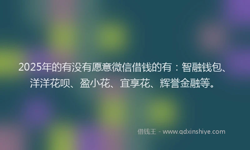 2025年的有没有愿意微信借钱的有：智融钱包、洋洋花呗、盈小花、宜享花、辉誉金融等。