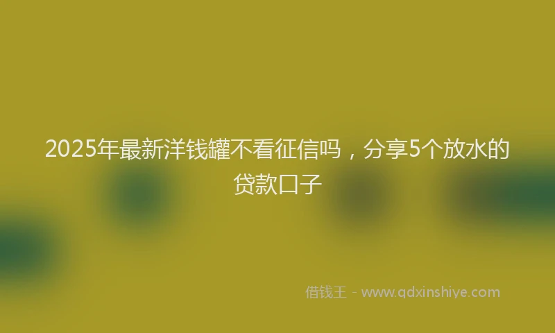 2025年最新洋钱罐不看征信吗，分享5个放水的贷款口子
