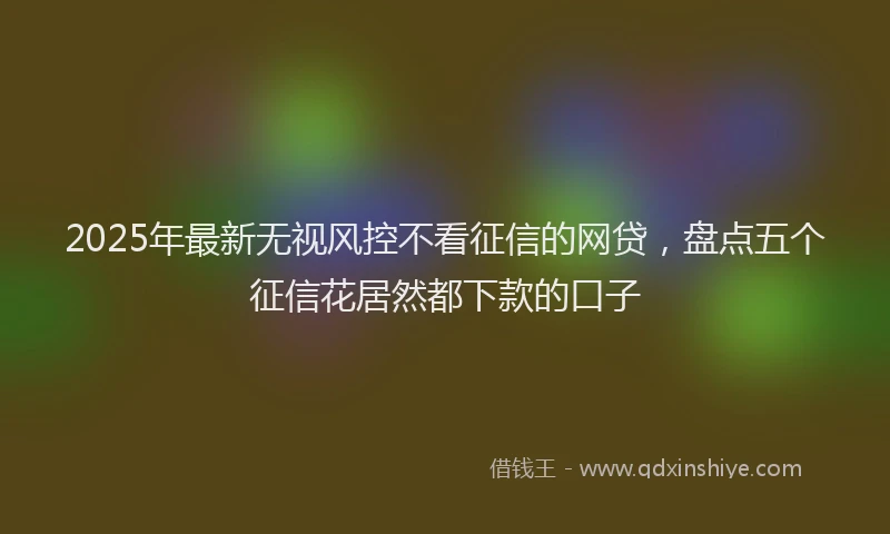 2025年最新无视风控不看征信的网贷，盘点五个征信花居然都下款的口子